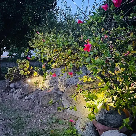 Casa - O Chian 'e Zizza Moscia דירה Forio di Ischia