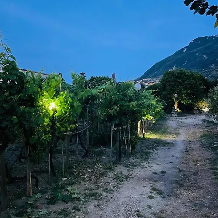 Casa - O Chian 'e Zizza Moscia * Forio di Ischia