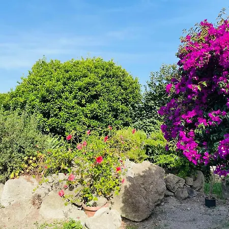 Casa - O Chian 'e Zizza Moscia Διαμέρισμα