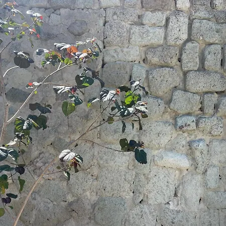 Casa - O Chian 'e Zizza Moscia Forio di Ischia