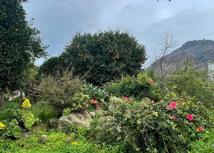 Casa - O Chian 'e Zizza Moscia Forio di Ischia