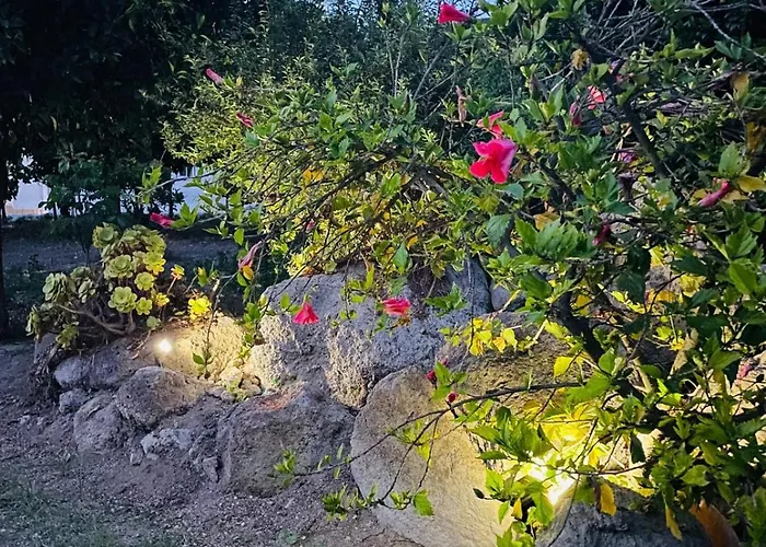 Casa - O Chian 'e Zizza Moscia Διαμέρισμα Forio di Ischia