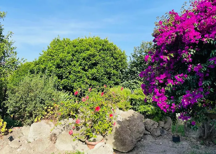 Casa - O Chian 'e Zizza Moscia Διαμέρισμα