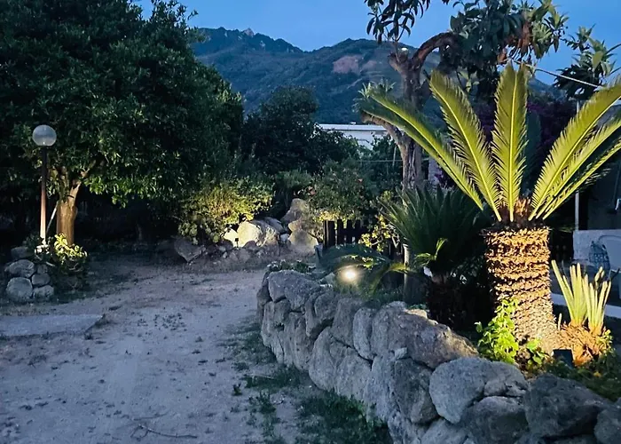 Casa - O Chian 'e Zizza Moscia Διαμέρισμα Forio di Ischia