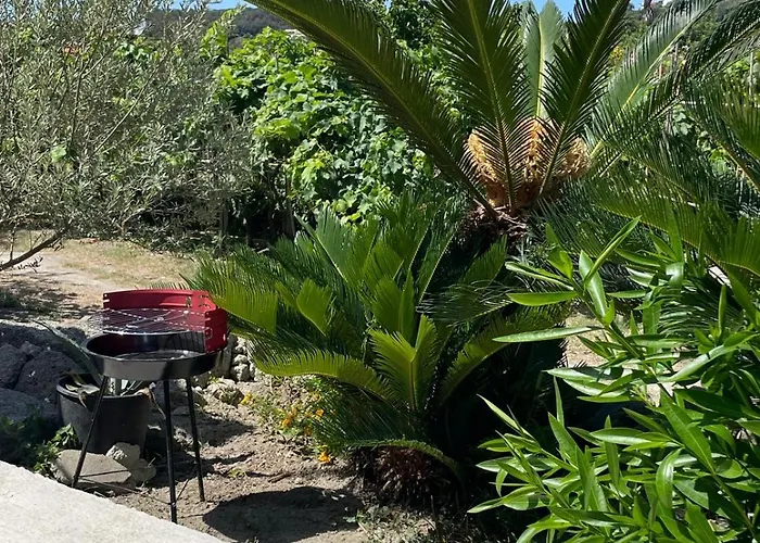 Casa - O Chian 'e Zizza Moscia Διαμέρισμα *