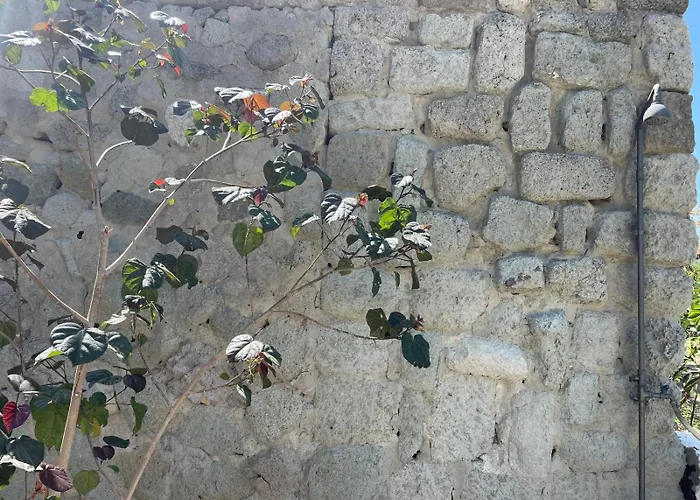 Casa - O Chian 'e Zizza Moscia Forio di Ischia