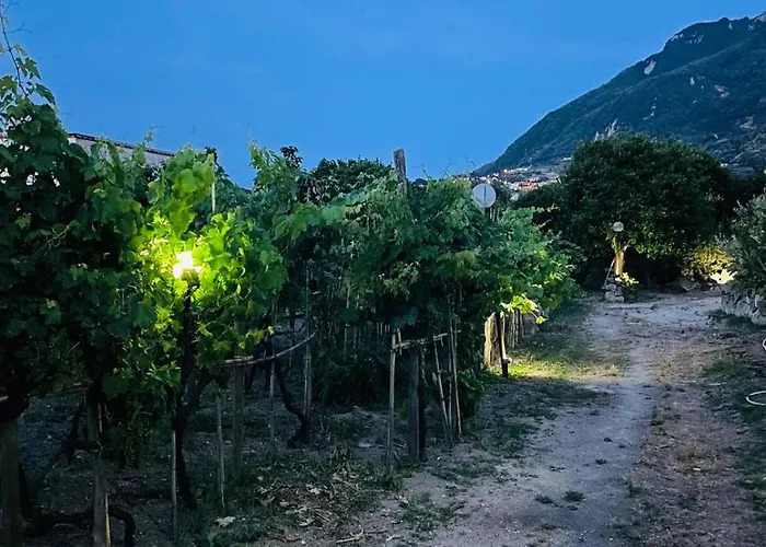 Casa - O Chian 'e Zizza Moscia * Forio di Ischia
